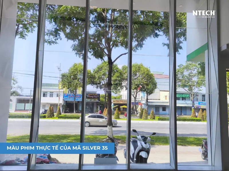 Màu phim thực tế mã SILVER 35