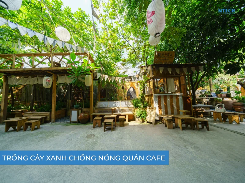 Trồng cây xanh chống nóng quán cafe