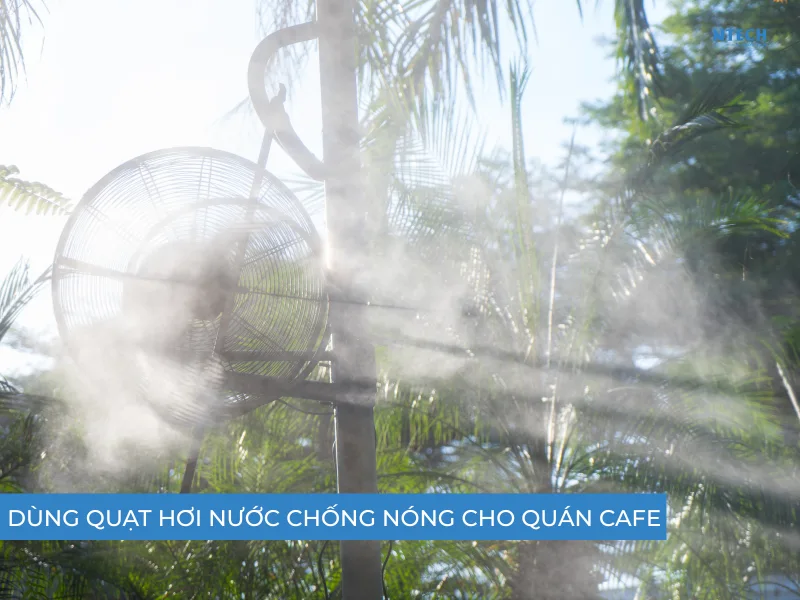 Lắp quạt hơi nước chống nóng