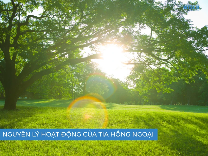 Nguyên lý hoạt động của tia hồng ngoại
