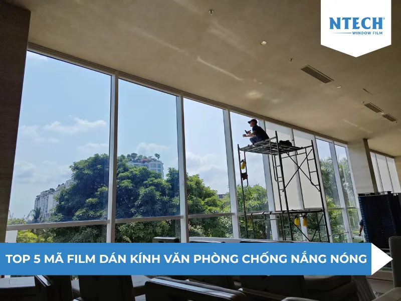 Top 5 mã film dán kính văn phòng chống nắng nóng